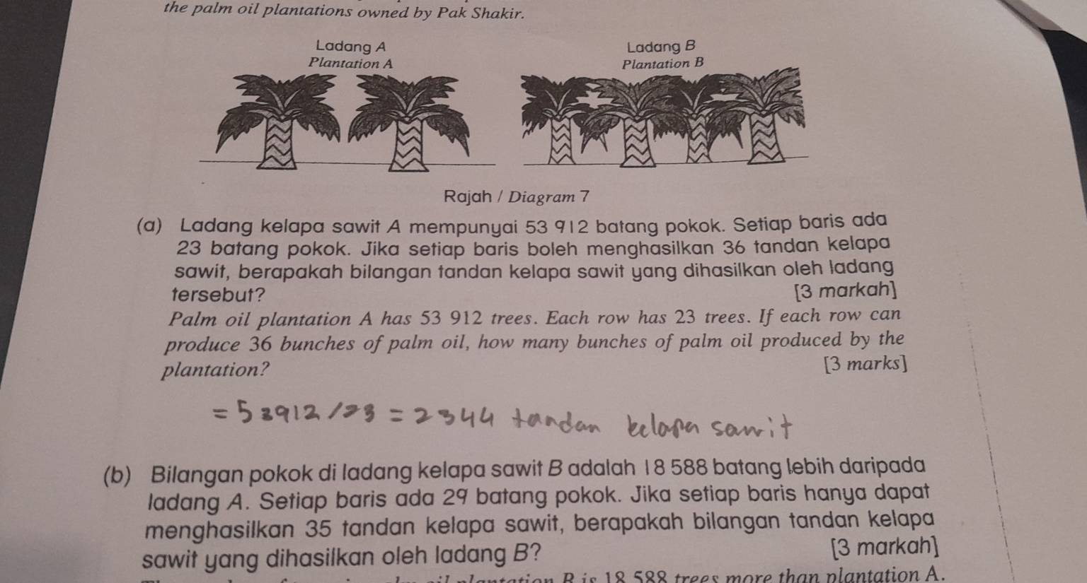 the palm oil plantations owned by Pak Shakir. 
Ladang B 
Rajah / Diagram 7 
(a) Ladang kelapa sawit A mempunyai 53 912 batang pokok. Setiap baris ada
23 batang pokok. Jika setiap baris boleh menghasilkan 36 tandan kelapa 
sawit, berapakah bilangan tandan kelapa sawit yang dihasilkan oleh ladang 
tersebut? [3 markah] 
Palm oil plantation A has 53 912 trees. Each row has 23 trees. If each row can 
produce 36 bunches of palm oil, how many bunches of palm oil produced by the 
plantation? [3 marks] 
(b) Bilangan pokok di ladang kelapa sawit B adalah 18 588 batang lebih daripada 
ladang A. Setiap baris ada 29 batang pokok. Jika setiap baris hanya dapat 
menghasilkan 35 tandan kelapa sawit, berapakah bilangan tandan kelapa 
sawit yang dihasilkan oleh ladang B? [3 markah] 
s 88 trees m ore than plantation A.