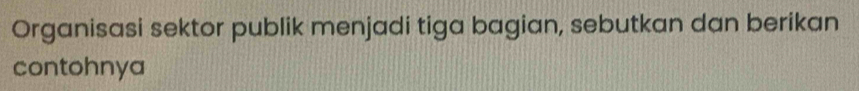 Organisasi sektor publik menjadi tiga bagian, sebutkan dan berikan 
contohnya