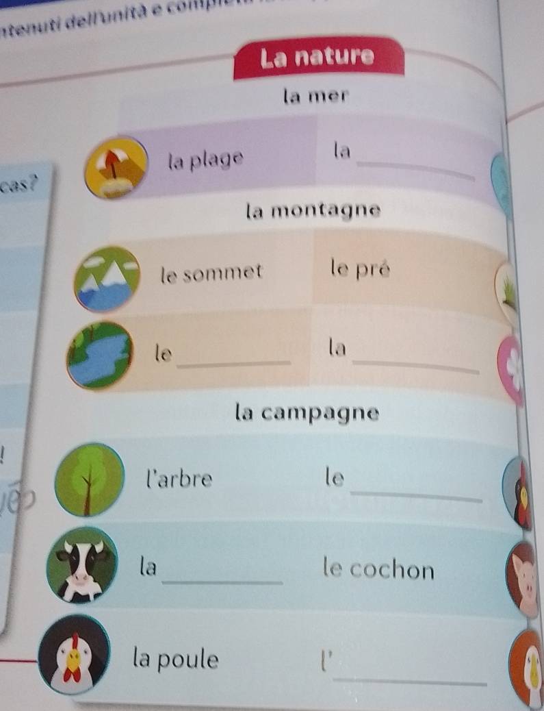 ntenuti dell'unità e colipio 
La nature 
la mer 
la plage 
_ 
la 
cas? 
la montagne 
le sommet le pré 
le_ 
_ 
la 
la campagne 
_ 
l'arbre le 
la_ le cochon 
_ 
la poule '