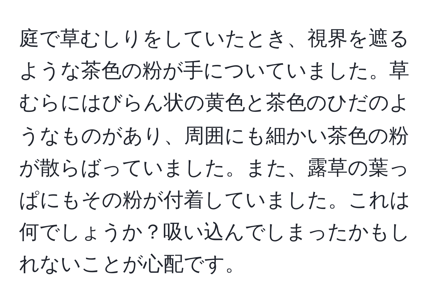 庭で草むしりをしていたとき、視界を遮るような茶色の粉が手についていました。草むらにはびらん状の黄色と茶色のひだのようなものがあり、周囲にも細かい茶色の粉が散らばっていました。また、露草の葉っぱにもその粉が付着していました。これは何でしょうか？吸い込んでしまったかもしれないことが心配です。