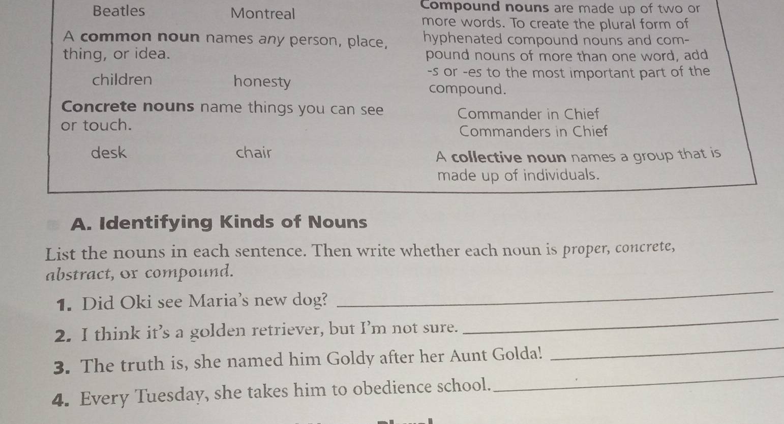 Beatles Montreal 
Compound nouns are made up of two or 
more words. To create the plural form of 
A common noun names any person, place, hyphenated compound nouns and com- 
thing, or idea. pound nouns of more than one word, add 
-s or -es to the most important part of the 
children honesty 
compound. 
Concrete nouns name things you can see 
Commander in Chief 
or touch. 
Commanders in Chief 
desk chair 
A collective noun names a group that is 
made up of individuals. 
A. Identifying Kinds of Nouns 
List the nouns in each sentence. Then write whether each noun is proper, concrete, 
abstract, or compound. 
_ 
1. Did Oki see Maria's new dog? 
_ 
_ 
2. I think it’s a golden retriever, but I’m not sure. 
_ 
3. The truth is, she named him Goldy after her Aunt Golda! 
4. Every Tuesday, she takes him to obedience school.