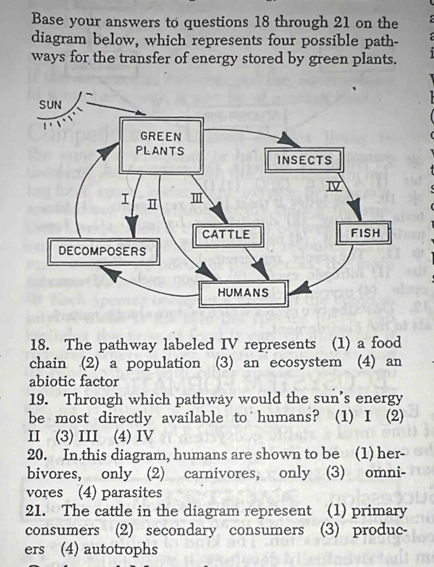 Base your answers to questions 18 through 21 on the 
diagram below, which represents four possible path- 
ways for the transfer of energy stored by green plants. 
18. The pathway labeled IV represents (1) a food 
chain (2) a population (3) an ecosystem (4) an 
abiotic factor 
19. Through which pathway would the sun’s energy 
be most directly available to humans? (1) I (2) 
II (3)III (4)IV 
20. In this diagram, humans are shown to be (1) her- 
bivores, only (2) carnivores, only (3) omni- 
vores (4) parasites 
21. The cattle in the diagram represent (1) primary 
consumers (2) secondary consumers (3) produc- 
ers (4) autotrophs