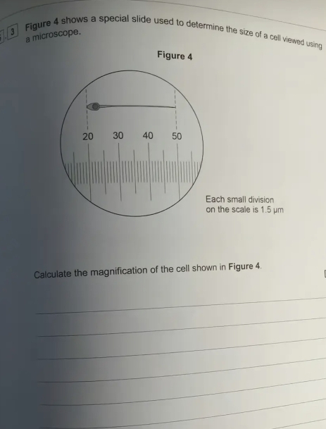 Solved: Figure 4 shows a special slide used to determine the size of a ...