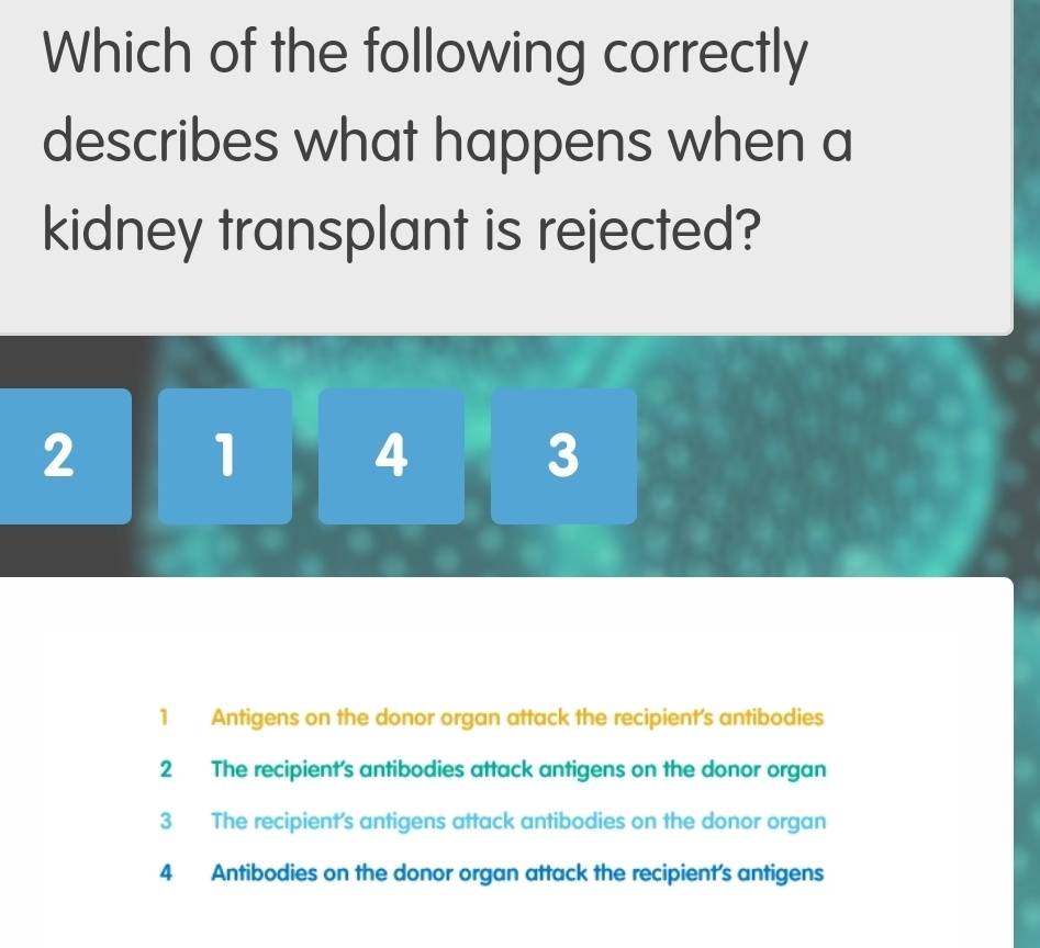 Which of the following correctly
describes what happens when a
kidney transplant is rejected?
2
1 4
3
1 Antigens on the donor organ attack the recipient's antibodies
2 The recipient's antibodies attack antigens on the donor organ
3 The recipient's antigens attack antibodies on the donor organ
4 Antibodies on the donor organ attack the recipient's antigens