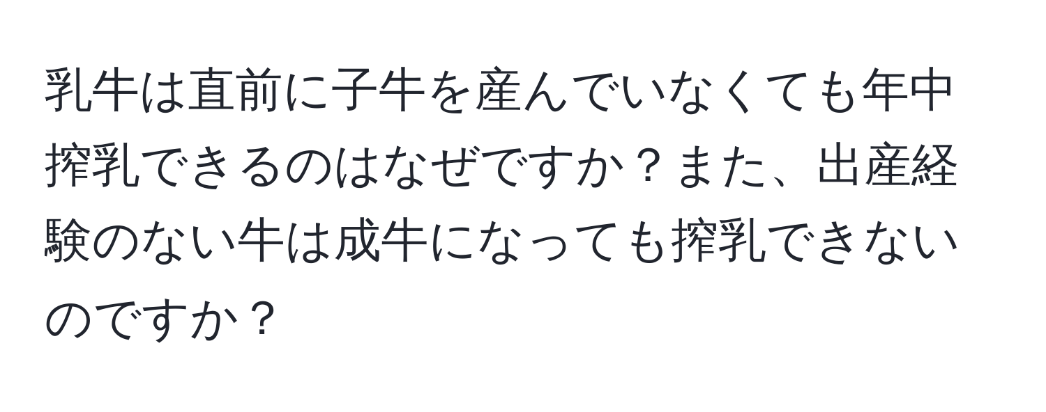 乳牛は直前に子牛を産んでいなくても年中搾乳できるのはなぜですか？また、出産経験のない牛は成牛になっても搾乳できないのですか？