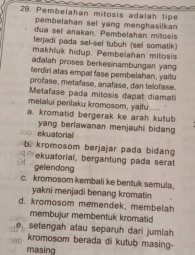 Pembelahan mitosis adalah tipe
pembelahan sel yang menghasilkan
dua sel anakan. Pembelahan mitosis
terjadi pada sel-sel tubuh (sel somatik)
makhluk hidup. Pembelahan mitosis
adalah proses berkesinambungan yang
terdiri atas empat fase pembelahan, yaitu
profase, metafase, anafase, dan telofase.
Metafase pada mitosis dapat diamati
melalui perilaku kromosom, yaitu ....
a. kromatid bergerak ke arah kutub
yang berlawanan menjauhi bidang
doon ekuatorial
kromosom berjajar pada bidang 
ekuatorial, bergantung pada serat
gelendong
c. kromosom kembali ke bentuk semula,
yakni menjadi benang kromatin
d. kromosom memendek, membelah
membujur membentuk kromatid
setengah atau separuh dari jumlah
19h kromosom berada di kutub masing-
masing