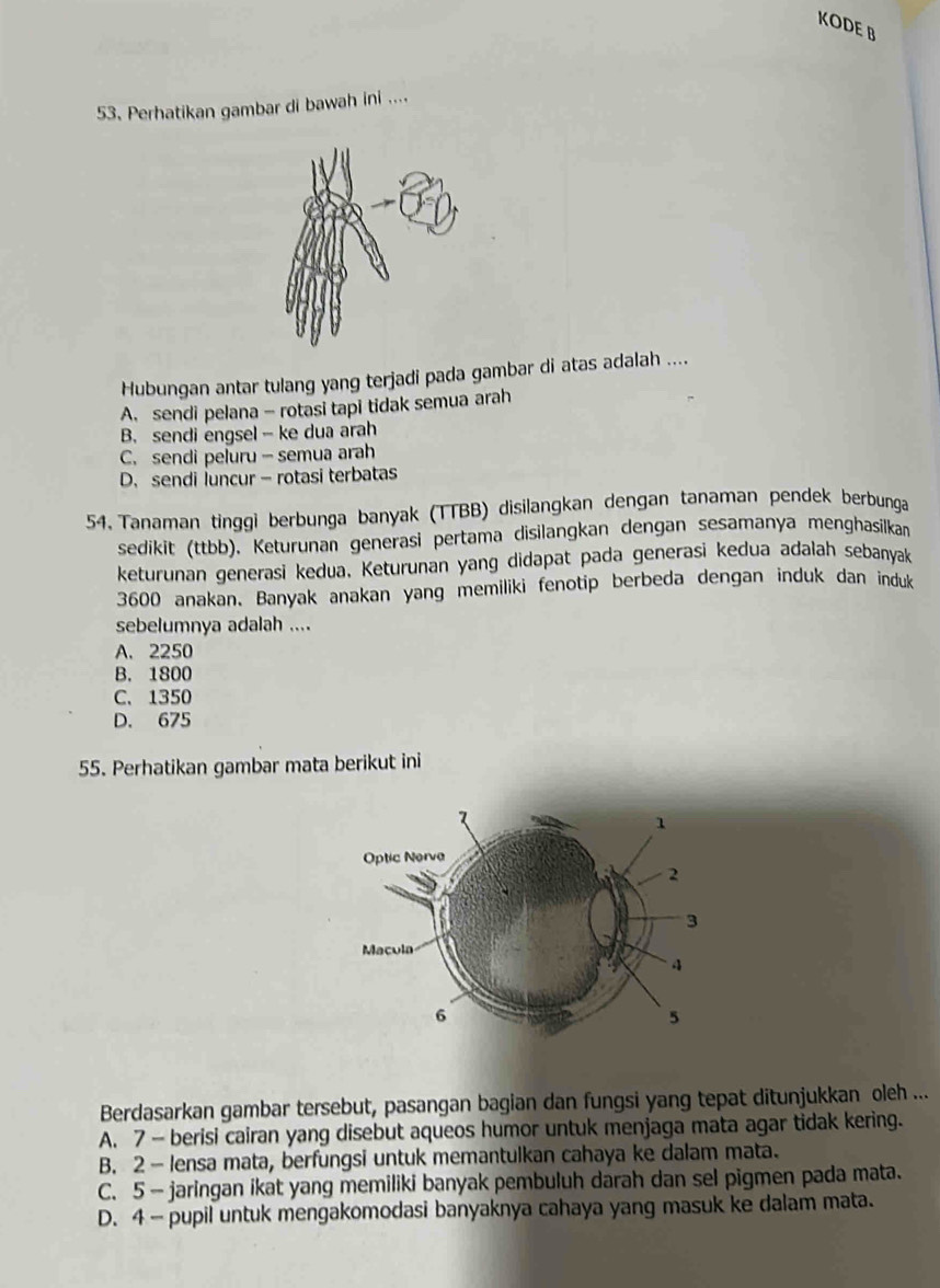 KODE B
53. Perhatikan gambar di bawah ini ....
Hubungan antar tulang yang terjadi pada gambar di atas adalah ....
A. sendi pelana - rotasi tapi tidak semua arah
B. sendi engsel - ke dua arah
C. sendi peluru - semua arah
D. sendi luncur - rotasi terbatas
54. Tanaman tinggi berbunga banyak (TTBB) disilangkan dengan tanaman pendek berbunga
sedikit (ttbb). Keturunan generasi pertama disilangkan dengan sesamanya menghasilkan
keturunan generasi kedua. Keturunan yang didapat pada generasi kedua adalah sebanyak
3600 anakan. Banyak anakan yang memiliki fenotip berbeda dengan induk dan induk
sebelumnya adalah ....
A. 2250
B. 1800
C. 1350
D. 675
55. Perhatikan gambar mata berikut ini
Berdasarkan gambar tersebut, pasangan bagian dan fungsi yang tepat ditunjukkan oleh ...
A. 7 - berisi cairan yang disebut aqueos humor untuk menjaga mata agar tidak kering.
B. 2 - lensa mata, berfungsi untuk memantulkan cahaya ke dalam mata.
C. 5 — jaringan ikat yang memiliki banyak pembuluh darah dan sel pigmen pada mata.
D. 4 — pupil untuk mengakomodasi banyaknya cahaya yang masuk ke dalam mata.