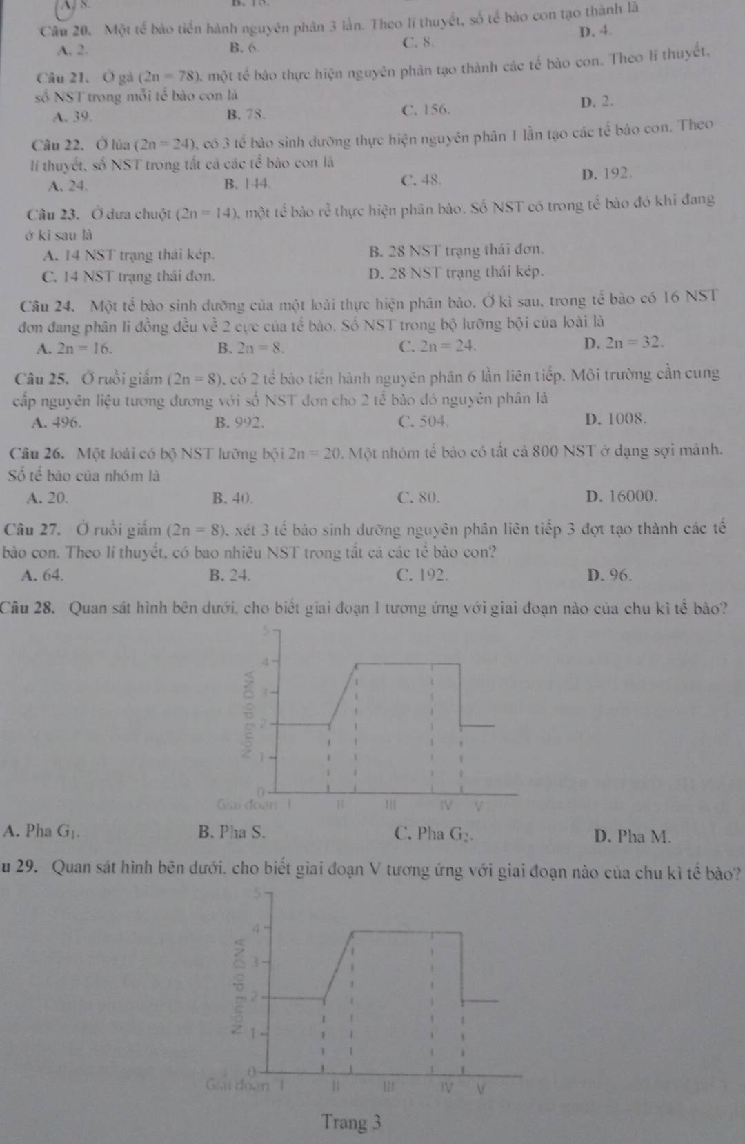 Một tế bào tiền hành nguyên phân 3 lần. Theo li thuyết, số tế bào con tạo thành là
D. 4.
A. 2. B. 6
C. 8
Câu 21. Ô gà (2n=78) 6 một tế bào thực hiện nguyên phân tạo thành các tế bào con. Theo li thuyết,
số NST trong mỗi tế bào con là
A. 39. B. 78. C. 156. D. 2.
Câu 22. Ở lúa (2n=24) 9, có 3 tế bào sinh dưỡng thực hiện nguyên phân 1 lần tạo các tế bào con. Theo
lí thuyết, số NST trong tắt cá các tể bào con là
A. 24. B. 144. C. 48. D. 192.
Câu 23. Ở dưa chuột (2n=14) ), một tế bào roverline overline overline 2 thực hiện phân bào. Số NST có trong tế bào đó khi đang
ở kì sau là
A. 14 NST trạng thái kép. B. 28 NST trạng thái đơn.
C. 14 NST trạng thái đơn. D. 28 NST trạng thái kép.
Câu 24. Một tể bào sinh dưỡng của một loài thực hiện phân bào. Ở kì sau, trong tế bào có 16 NST
đơn đang phân li đồng đều về 2 cực của tế bào. Số NST trong bộ lưỡng bội của loài là
A. 2n=16. B. 2n=8. C. 2n=24.
D. 2n=32.
Câu 25. Ở ruồi giấm (2n=8) 0, có 2 tế bảo tiến hành nguyên phân 6 lần liên tiếp. Môi trường cần cung
cấp nguyên liệu tương đương với số NST đơn cho 2 tổ bào đó nguyên phân là
A. 496. B. 992. C. 504. D. 1008.
Câu 26. Một loài có bộ NST lưỡng bội 2n=20 Một nhóm tế bảo có tắt cả 800 NST ở dạng sợi mảnh.
Số tế bào của nhóm là
A. 20. B. 40. C. 80. D. 16000.
Câu 27. Ở ruồi giấm (2n=8) 3, xét 3 tế bảo sinh dưỡng nguyên phân liên tiếp 3 đợt tạo thành các tế
bào con. Theo lí thuyết, có bao nhiêu NST trong tắt cá các tể bào con?
A. 64. B. 24. C. 192. D. 96.
Câu 28. Quan sát hình bên dưới, cho biết giai đoạn I tương ứng với giai đoạn nào của chu kì tế bào?
A. Pha G_1. D. Pha M.
u 29. Quan sát hình bên dưới. cho biết giai đoạn V tương ứng với giai đoạn nào của chu kì tế bào?