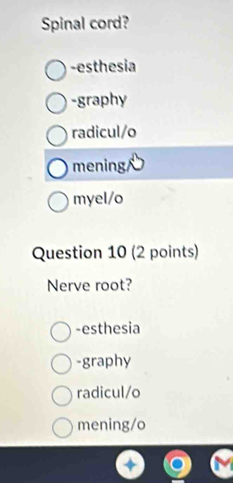 Spinal cord?
-esthesia
-graphy
radicul/o
mening
myel/o
Question 10 (2 points)
Nerve root?
-esthesia
-graphy
radicul/o
mening/o