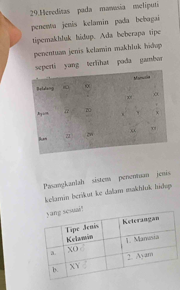 Hereditas pada manusia meliputi 
penentu jenis kelamin pada bebagai 
tipemakhluk hidup. Ada beberapa tipe 
penentuan jenis kelamin makhluk hidup 
rti yang terlihat pada gambar 
Pasangkanlah sistem penentuan jenis 
kelamin berikut ke dalam makhluk hidup 
uai!