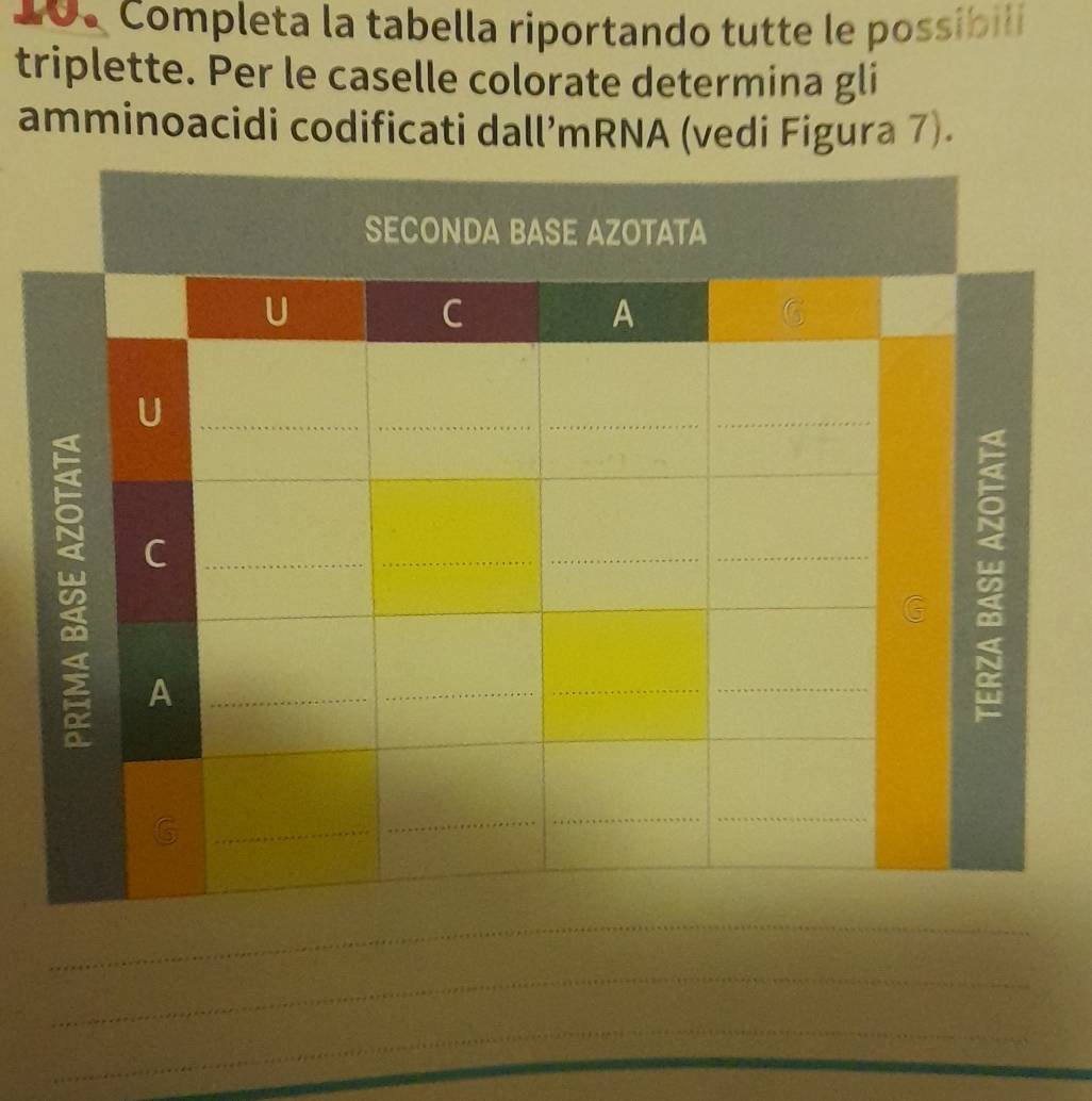 1 . Completa la tabella riportando tutte le possibil 
triplette. Per le caselle colorate determina gli 
amminoacidi codificati dall’mRNA (vedi Figura 7). 
_ 
_ 
_