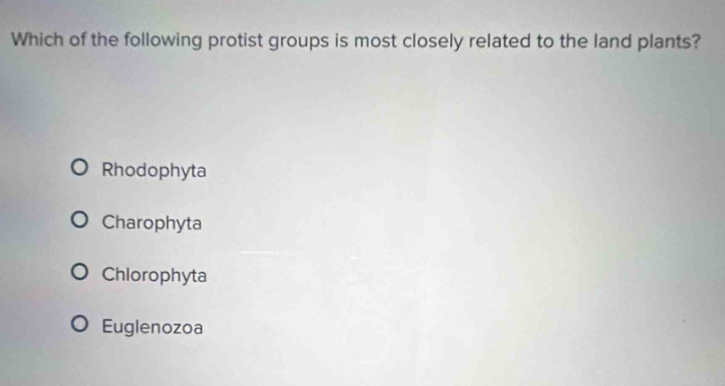 Which of the following protist groups is most closely related to the land plants?
Rhodophyta
Charophyta
Chlorophyta
Euglenozoa