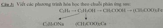 Viết các phương trình hóa học theo chuỗi phản ứng sau:
C_2H_4to C_2H_5OHto CH_3COOHto (CH_3COO)_2Fe
C_2H_5ONa (CH_3COO)_2Ca