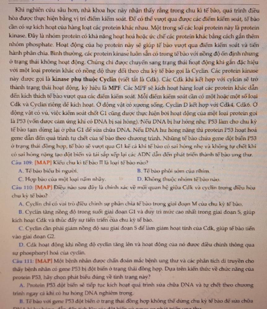 Khi nghiên cứu sâu hơn, nhà khoa học này nhận thấy rằng trong chu kì tế bào, quá trình điều
hòa được thực hiện bằng vị trí điểm kiểm soát. Để có thể vượt qua được các điểm kiểm soát, tế bào
cần có sự kích hoạt của hàng loạt các protein khác nhau. Một trong số các loại protein này là protein
kinase. Đây là nhóm protein có khả năng hoạt hoá hoặc úc chế các protein khác bằng cách gắn thêm
nhóm phosphate. Hoạt động của họ protein này sẽ giúp tế bào vượt qua điểm kiểm soát và tiến
hành phân chia. Bình thường, các protein kinase luôn sẵn có trong tế bào với nồng độ ốn định nhưng
ở trạng thái không hoạt động. Chúng chi được chuyển sang trạng thái hoạt động khi gắn đặc hiệu
với một loại protein khác có nồng độ thay đối theo chu kỳ tế bào gọi là Cyclin. Các protein kinase
này được gọi là kinase phụ thuộc Cyclin (viết tắt là Cdk). Các Cdk khi kết hợp với cylcin sẽ trở
thành trạng thái hoạt động, ký hiệu là MPF. Các MPF sẽ kích hoạt hàng loạt các protein khác dẫn
dến kích thích tế bào vượt qua các điểm kiểm soát. Mỗi điểm kiểm soát căn có một hoặc một số loại
Cdk và Cyclin riêng dể kích hoạt. Ở động vật có xương sống. Cyclin D kết hợp với Cdk4, Cdk6. Ở
động vật có vú, việc kiếm soát chốt G1 cũng được thực hiện bởi hoạt động của một loại protein gọi
là P53 (vốn được cảm ứng khi có DNA bị sai hòng). Nếu DNA bị hư hóng nhẹ, P53 làm cho chu kỳ
tế bào tạm dừng lại ở pha C1 để sửa chữa DNA. Nếu DNA hư hòng nặng thủ protein P53 hoạt hoá
gene dẫn đến quá trình tự chết của tế bào theo chương trình. Những tế bào chứa gene đột biến P53
ở trạng thái đồng hợp, tế bào sẽ vượt qua G1 kế cả khi tế bào có sai hóng nhẹ và không tự chết khi
có sai hòng nặng tạo đột biến và tái sắp xếp lại các ADN dẫn đến phát triển thành tế bào ung thư.
Câu 109: [MAP] Kiểu chu kì tế bào II là loại tế bào nào?
A. Tế bào biểu bì người. B. Tế bào phối sớm của nhim,
C. Hợp bào của một loại nấm nhầy. D. Không thuộc nhóm tế bào nào,
Câu 110: [MAP] Điều nào sau đây là chính xác về mối quan hệ giữa Cdk và cyclin trong điều hòa
chu kỳ tế bào?
A. Cyclin chỉ có vai trò điều chinh sự phân chia tế bào trong giai đoạn M của chu kỳ tế bào.
B. Cyclin tăng nồng độ trong suốt giai đoạn G1 và duy trì mức cao nhất trong giai đoạn S, giúp
kích hoạt Cdk và thúc đẩy sự tiến triển của chu kỳ tế bào.
C. Cyclin cần phái giám nồng độ sau giai đoạn 5 để làm giám hoạt tính của Cdk, giúp tế bào tiến
vào giai đoạn G2.
D. Cdk hoạt động khi nồng độ cyclin tăng lên và hoạt động của nó được điều chính thông qua
sự phosphoryl hoá của cyclin.
Câu 111: [MAP] Một bệnh nhân được chấn đoán mắc bệnh ung thư và các phân tích di truyền cho
thấy bệnh nhân có gene P53 bị đột biến ở trạng thái đồng hợp. Dựa trên kiến thức về chức năng của
protein P53, hãy chọn phát biểu đúng về tình trạng này?
A. Protein P53 đột biến sẽ tiếp tục kích hoạt quá trình sửa chữa DNA và tự chết theo chương
trình ngay cả khi có hư hòng DNA nghiêm trọng.
B. Tế bào với gene P53 đột biến ở trạng thái đồng hợp không thể dừng chu kỳ tế bào để sửa chữa