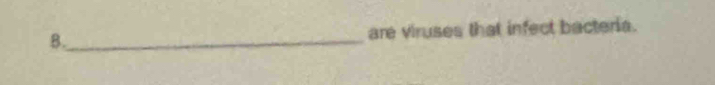 are viruses that infect bacteria.