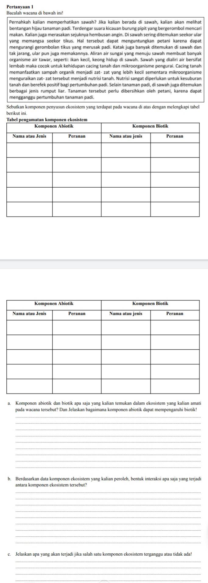 Pertanyaan 1
Bacalah wacana di bawah ini!
Pernahkah kalian memperhatikan sawah? Jika kalian berada di sawah, kalian akan melihat
bentangan hijau tanaman padi. Terdengar suara kiçauan burung pipit yang bergerombol mencari
yang memangsa seekor tikus. Hal tersebut dapat menguntungkan petani karena dapat
mengurangi gerombolan tikus yang merusak padi. Katak juga banyak ditemukan di sawah dan
tak jarang, ular pun juga memakannya. Aliran air sungai yang menuju sawah membuat banyak
organisme air tawar, seperti; ikan kecil, keong hidup di sawah, Sawah vang dialiri air bersifat
lembab maka cocok untuk kehidupan cacing tanah dan mikroorganisme pengurai. Cacing tanah
memanfaatkan sampah organik menjadi zat- zat yang lebih kecil sementara mikroorganisme
menguraikan zat- zat tersebut menjadi nutrisi tanah. Nutrisi sangat diperlukan untuk kesuburan
tanah dan berefek positif bagi pertumbuhan padi. Selain tanaman padi, di sawah juga ditemukar
berbagai jenis rumput liar. Tanaman tersebut perlu dibersihkan oleh petani, karena dapat
mengganggu pertumbuhan tanaman padi.
Sebutkan komponen penyusun ekosistem yang terdapat pada wacana di atas dengan melengkapi tabel
berikut ini.
a. Komponen abiotik dan biotik apa saja yang kalian temukan dalam ekosistem yang kalian amati
pada wacana tersebut? Dan Jelaskan bagaimana komponen abiotik dapat mempengaruhi biotik!
_
_
_
_
_
_
_
b. Berdasarkan data komponen ekosistem yang kalian peroleh, bentuk interaksi apa saja yang terjadi
antara komponen ekosistem tersebut?
_
_
_
_
_
_
c. Jelaskan apa yang akan terjadi jika salah satu komponen ekosistem terganggu atau tidak ada!
_
_
_