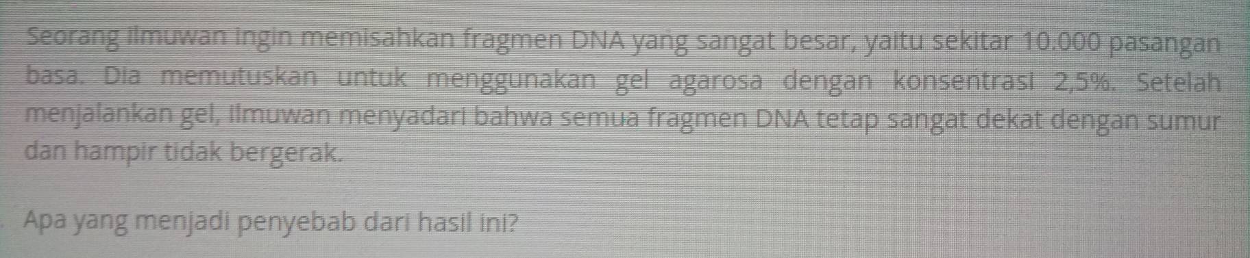 Seorang ilmuwan ingin memisahkan fragmen DNA yang sangat besar, yaitu sekitar 10.000 pasangan 
basa. Dia memutuskan untuk menggunakan gel agarosa dengan konsentrasi 2,5%. Setelah 
menjalankan gel, ilmuwan menyadari bahwa semua fragmen DNA tetap sangat dekat dengan sumur 
dan hampir tidak bergerak. 
Apa yang menjadi penyebab dari hasil ini?