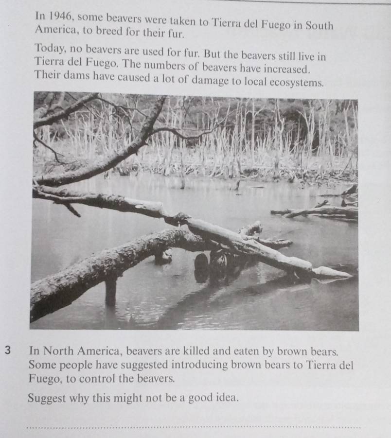 In 1946, some beavers were taken to Tierra del Fuego in South 
America, to breed for their fur. 
Today, no beavers are used for fur. But the beavers still live in 
Tierra del Fuego. The numbers of beavers have increased. 
Their dams have caused a lot of damage to local ecosystems.
3 In North America, beavers are killed and eaten by brown bears. 
Some people have suggested introducing brown bears to Tierra del 
Fuego, to control the beavers. 
Suggest why this might not be a good idea. 
_