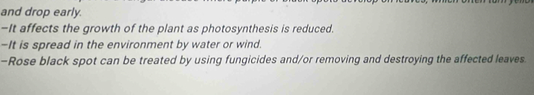 and drop early. 
-It affects the growth of the plant as photosynthesis is reduced. 
-It is spread in the environment by water or wind. 
-Rose black spot can be treated by using fungicides and/or removing and destroying the affected leaves