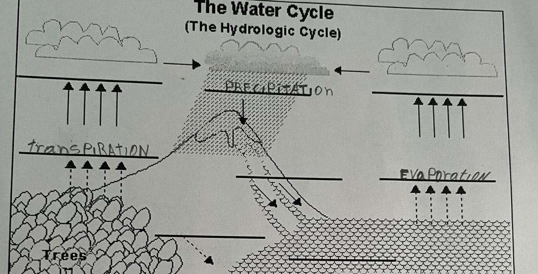 The Water Cycle