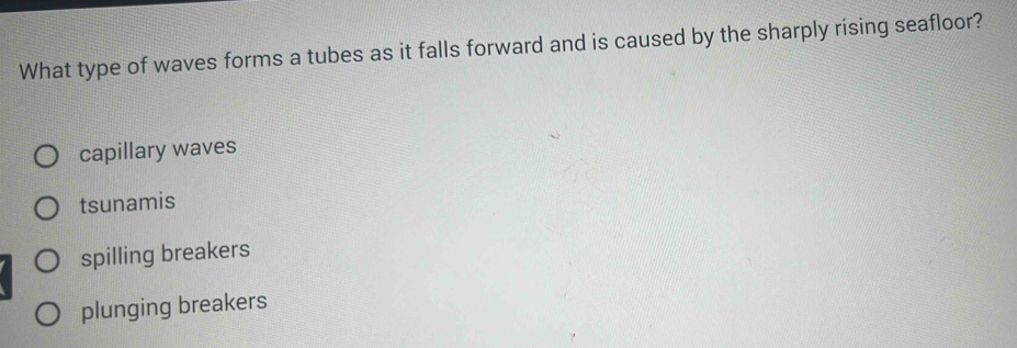 What type of waves forms a tubes as it falls forward and is caused by the sharply rising seafloor?
capillary waves
tsunamis
spilling breakers
plunging breakers