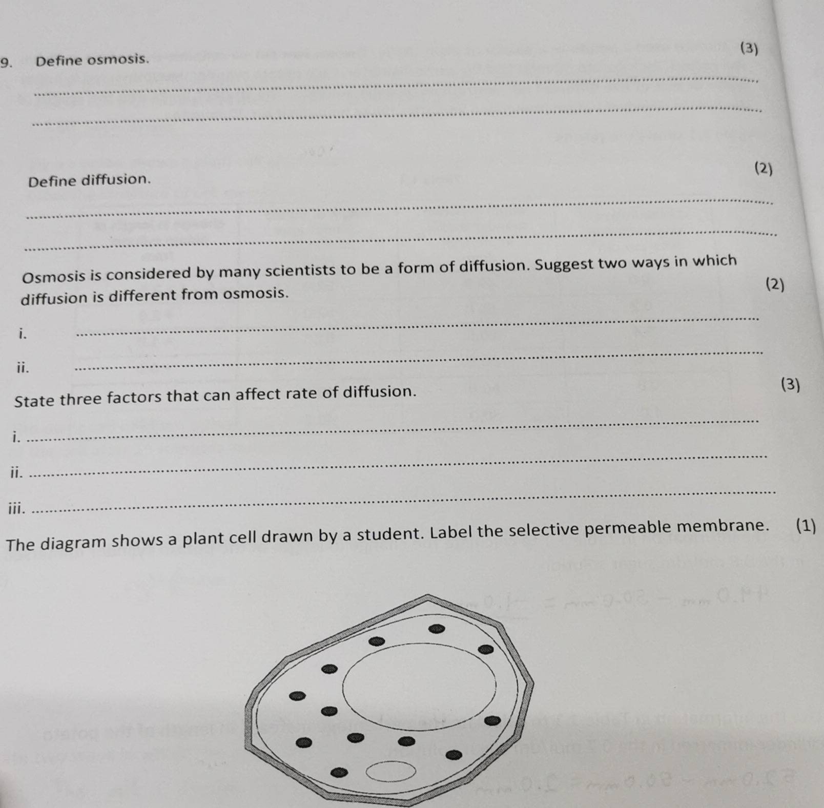 (3) 
_ 
9. Define osmosis. 
_ 
(2) 
Define diffusion. 
_ 
_ 
Osmosis is considered by many scientists to be a form of diffusion. Suggest two ways in which 
(2) 
diffusion is different from osmosis. 
i. 
_ 
ii. 
_ 
State three factors that can affect rate of diffusion. 
(3) 
i. 
_ 
ⅱi. 
_ 
iii. 
_ 
The diagram shows a plant cell drawn by a student. Label the selective permeable membrane. (1)