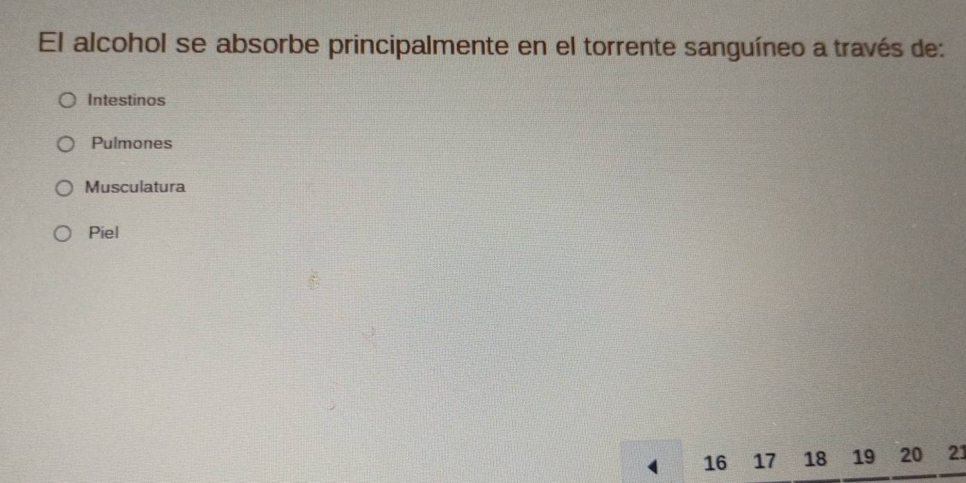 El alcohol se absorbe principalmente en el torrente sanguíneo a través de:
Intestinos
Pulmones
Musculatura
Piel
16 17 18 19 20 21