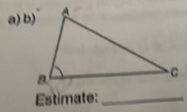 Estimate:_