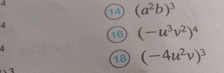 4
14 (a^2b)^3
4
16 (-u^3v^2)^4
4
18 (-4u^2v)^3