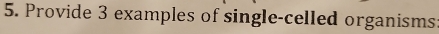 Provide 3 examples of single-celled organisms
