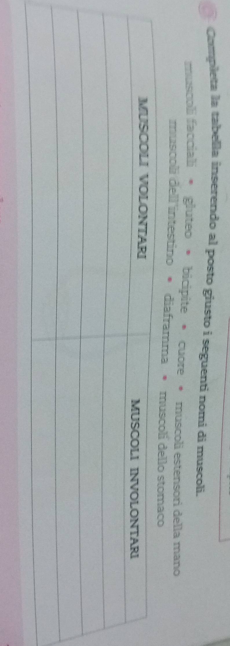Completa la tabella inserendo al posto giusto i seguenti nomi di muscoli. 
muscoli facciali • gluteo • bicipite • cuore • muscoli estensori della mano 
muscolí dell'intestino • diaframma •