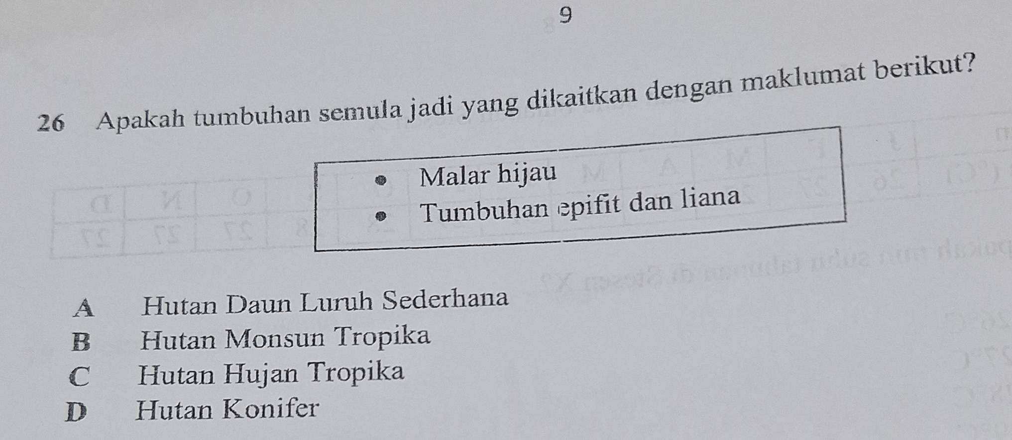 msemula jadi yang dikaitkan dengan maklumat berikut?
A Hutan Daun Luruh Sederhana
B Hutan Monsun Tropika
C Hutan Hujan Tropika
D Hutan Konifer