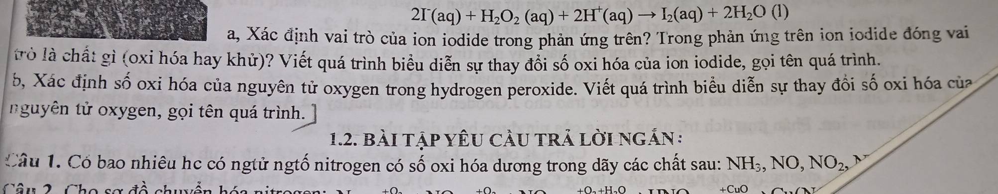 2I^-(aq)+H_2O_2(aq)+2H^+(aq)to I_2(aq)+2H_2O(l)
a, Xác định vai trò của ion iodide trong phản ứng trên? Trong phản ứng trên ion iodide đóng vai 
trò là chất gì (oxi hóa hay khử)? Viết quá trình biểu diễn sự thay đổi số oxi hóa của ion iodide, gọi tên quá trình. 
5, Xác định số oxi hóa của nguyên tử oxygen trong hydrogen peroxide. Viết quá trình biểu diễn sự thay đồi số oxi hóa của 
nguyên tử oxygen, gọi tên quá trình. 
1.2. bài tập yêU cầU trả lời ngắn : 
Câu 1. Có bao nhiêu hc có ngtử ngtố nitrogen có số oxi hóa dương trong dãy các chất sau: NH_3, NO, NO_2, 
Câu 2. Cho sơ đề chuyển hóa nit