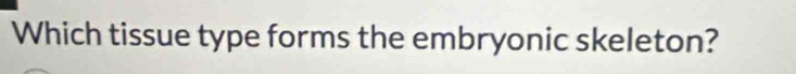 Which tissue type forms the embryonic skeleton?