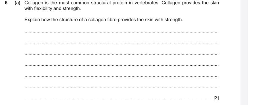 6 (a) Collagen is the most common structural protein in vertebrates. Collagen provides the skin 
with flexibility and strength. 
Explain how the structure of a collagen fibre provides the skin with strength. 
_ 
_ 
_ 
_ 
_ 
_ 
_[3]