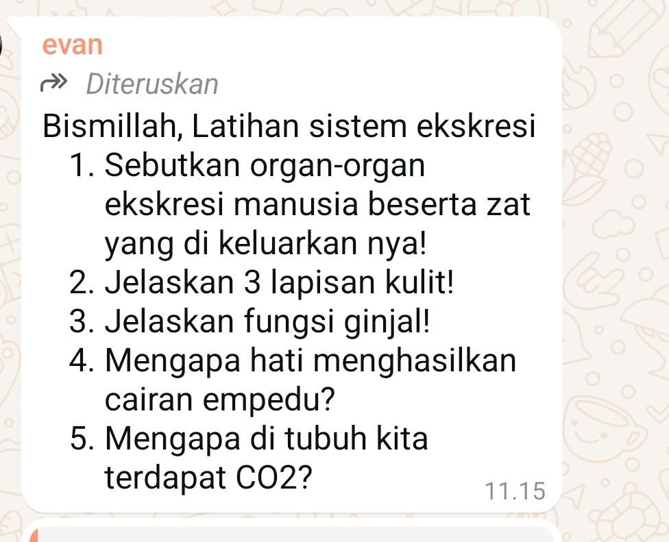 evan 
Diteruskan 
Bismillah, Latihan sistem ekskresi 
1. Sebutkan organ-organ 
ekskresi manusia beserta zat 
yang di keluarkan nya! 
2. Jelaskan 3 lapisan kulit! 
3. Jelaskan fungsi ginjal! 
4. Mengapa hati menghasilkan 
cairan empedu? 
5. Mengapa di tubuh kita 
terdapat CO2? 
11.15