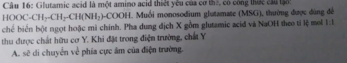 Glutamic acid là một amino acid thiết yêu của cơ the, có công thức câu lạo:
HOOC-CH_2-CH_2-CH(NH_2)-COOH. Muối monosodium glutamate (MSG), thường được dùng đế 
chế biến bột ngọt hoặc mì chính. Pha dung dịch X gồm glutamic acid và NaOH theo tỉ lệ mol 1:1 
thu được chất hữu cơ Y. Khi đặt trong điện trường, chất Y 
A. sẽ di chuyển về phía cực âm của điện trường.