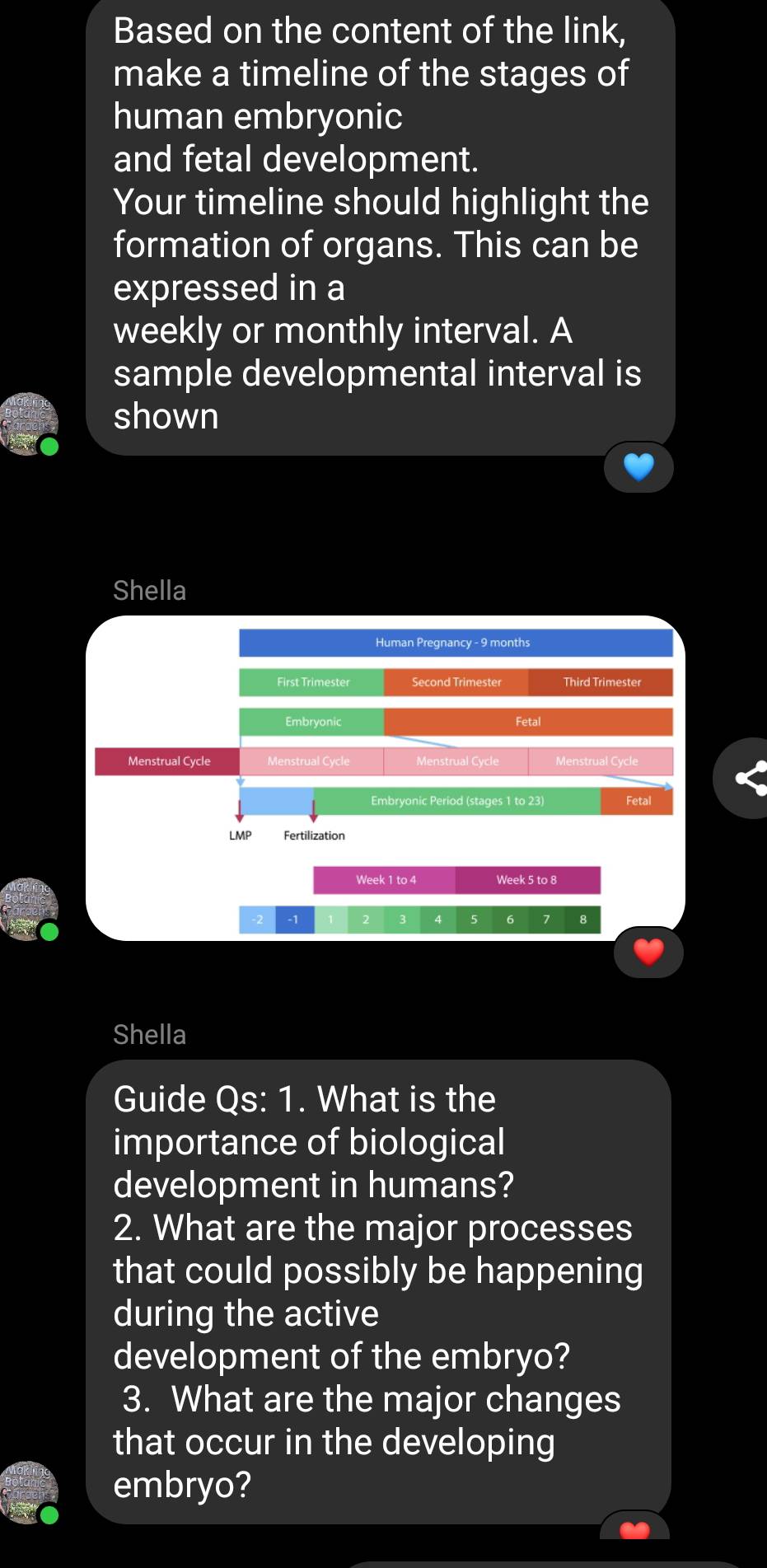 Based on the content of the link, 
make a timeline of the stages of 
human embryonic 
and fetal development. 
Your timeline should highlight the 
formation of organs. This can be 
expressed in a 
weekly or monthly interval. A 
sample developmental interval is 
shown 
Shella 
Human Pregnancy - 9 months
First Trimester Second Trimester Third Trimester 
Embryonic 
Fetal 
Menstrual Cycle Menstrual Cycle Menstrual Cycle Menstrual Cycle 
Embryonic Period (stages 1 to 23) Fetal 
LMP Fertilization
Week 1 to 4 Week 5 to 8
-2 -1 2 3 4 5 6 7 8
Shella 
Guide Qs: 1. What is the 
importance of biological 
development in humans? 
2. What are the major processes 
that could possibly be happening 
during the active 
development of the embryo? 
3. What are the major changes 
that occur in the developing 
embryo?