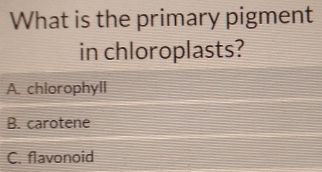 What is the primary pigment
in chloroplasts?
A. chlorophyll
B. carotene
C. flavonoid