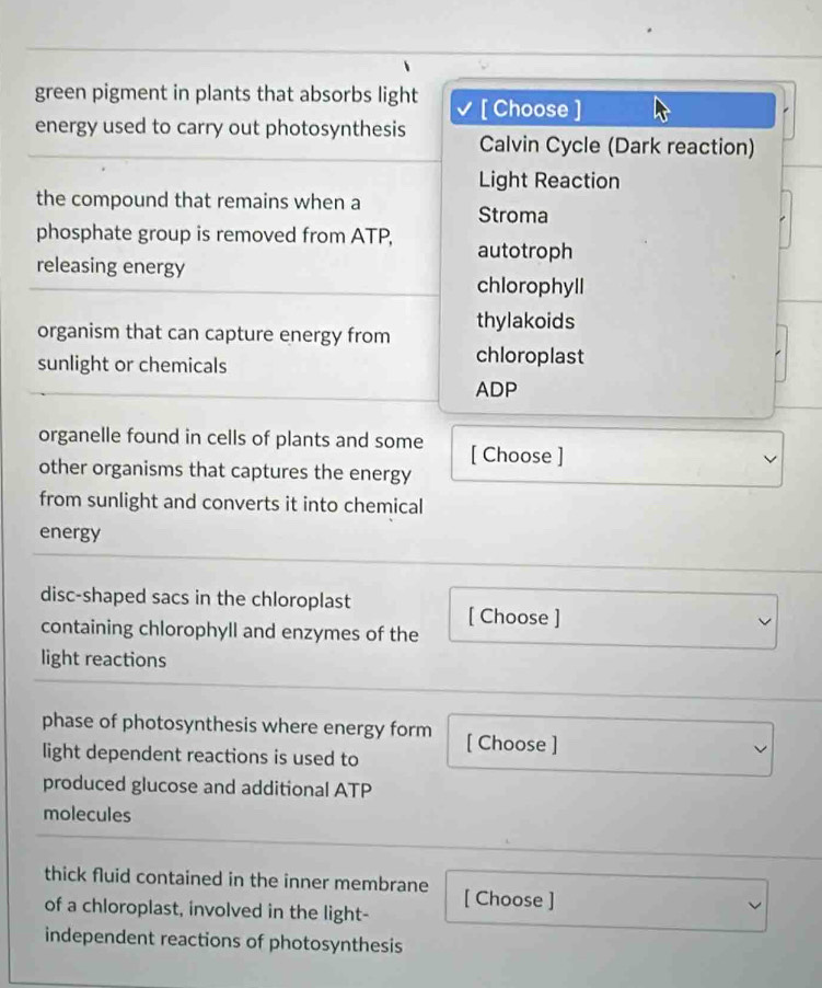 green pigment in plants that absorbs light [ Choose ]
energy used to carry out photosynthesis Calvin Cycle (Dark reaction)
Light Reaction
the compound that remains when a
Stroma
phosphate group is removed from ATP, autotroph
releasing energy
chlorophyll
organism that can capture energy from thylakoids
sunlight or chemicals
chloroplast
ADP
organelle found in cells of plants and some [ Choose ]
other organisms that captures the energy
from sunlight and converts it into chemical
energy
disc-shaped sacs in the chloroplast [ Choose ]
containing chlorophyll and enzymes of the
light reactions
phase of photosynthesis where energy form
light dependent reactions is used to [ Choose ]
produced glucose and additional ATP
molecules
thick fluid contained in the inner membrane [ Choose ]
of a chloroplast, involved in the light-
independent reactions of photosynthesis