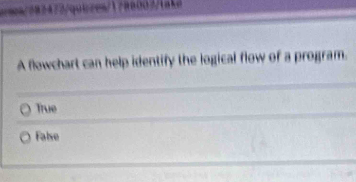 =ea/082472/quicen/1788007/take
A flowchart can help identify the logical flow of a program.
True
False