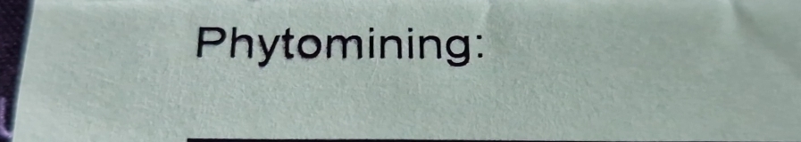 Phytomining: