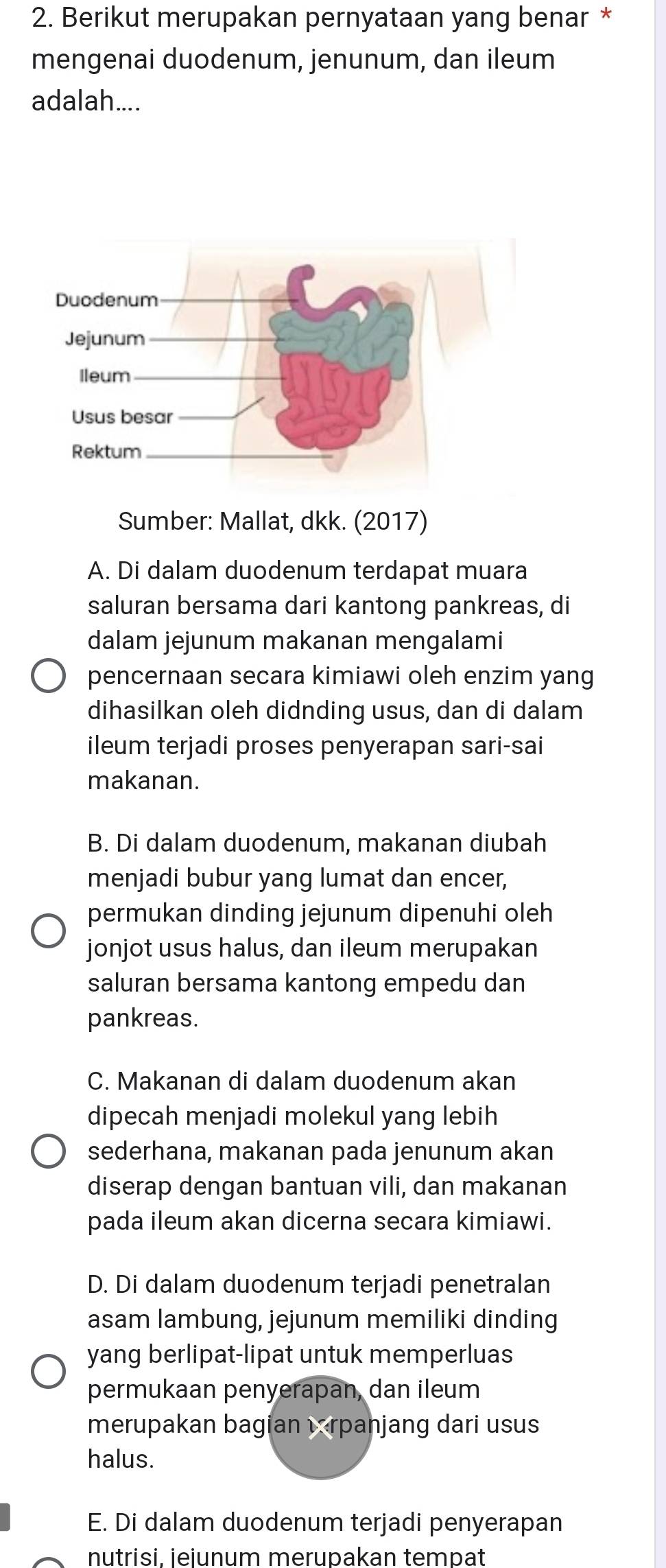 Berikut merupakan pernyataan yang benar *
mengenai duodenum, jenunum, dan ileum
adalah....
Sumber: Mallat, dkk. (2017)
A. Di dalam duodenum terdapat muara
saluran bersama dari kantong pankreas, di
dalam jejunum makanan mengalami
pencernaan secara kimiawi oleh enzim yang
dihasilkan oleh didnding usus, dan di dalam
ileum terjadi proses penyerapan sari-sai
makanan.
B. Di dalam duodenum, makanan diubah
menjadi bubur yang lumat dan encer,
permukan dinding jejunum dipenuhi oleh
jonjot usus halus, dan ileum merupakan
saluran bersama kantong empedu dan
pankreas.
C. Makanan di dalam duodenum akan
dipecah menjadi molekul yang lebih
sederhana, makanan pada jenunum akan
diserap dengan bantuan vili, dan makanan
pada ileum akan dicerna secara kimiawi.
D. Di dalam duodenum terjadi penetralan
asam lambung, jejunum memiliki dinding
yang berlipat-lipat untuk memperluas
permukaan penyerapan, dan ileum
merupakan bagian vrpanjang dari usus
halus.
E. Di dalam duodenum terjadi penyerapan
nutrisi. ieiunum merupakan tempat