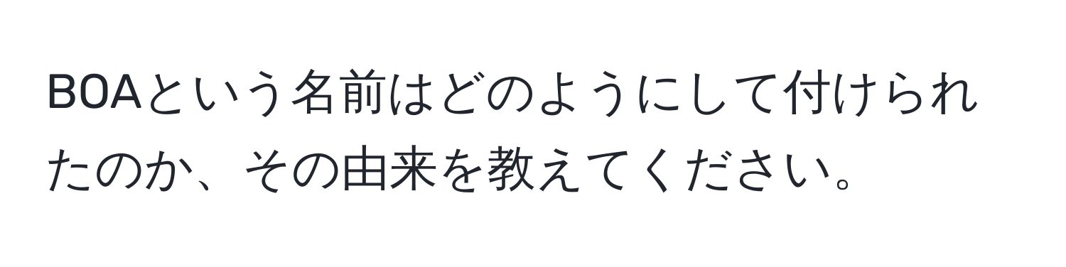 BOAという名前はどのようにして付けられたのか、その由来を教えてください。