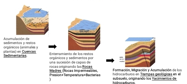 Acumulación de 
sedimentos y restos 
orgánicos (animales y 
plantas) en Cuencas Enterramiento de los restos 
Sedimentarias. orgánicos y sedimentos por wator a 
una sucesión de capas de 
rocas originando las Rocas 
Madres (Rocas Impermeables, Formación, Migración y Acumulación de los 
Presion+Temperatura+Bacterias hidrocarburos en Trampas geológicas en el 
subsuelo, originando los Yacimientos de 
hidrocarburos.