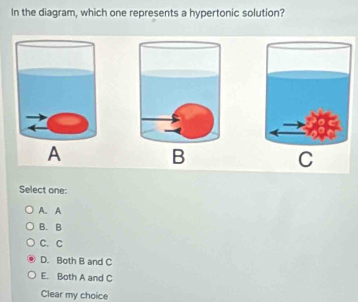 Solved: In the diagram, which one represents a hypertonic solution? A B ...
