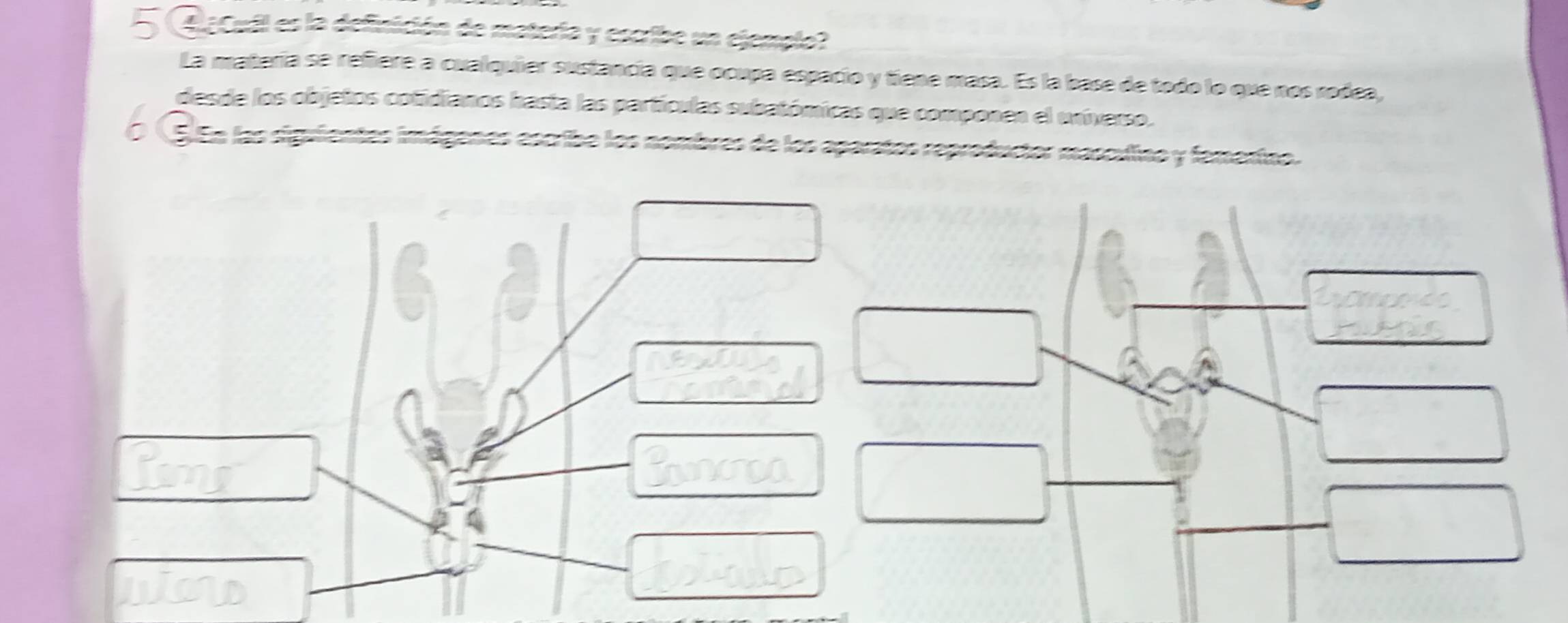 GaCuil es la definición de materia y escribe un ejemplo? 
La matería se refiere a cualquier sustancia que ocupa espacio y tiene masa. Es la base de todo lo que nos rodea, 
desde los objetos cotidianos hasta las partículas subatómicas que componen el universo. 
O ( SEn las siguientes imágenes escribe los nombres de los aparatos reproductor mascdino y fementno.