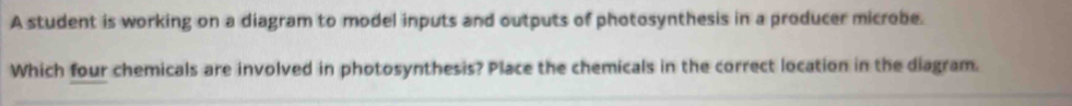 A student is working on a diagram to model inputs and outputs of photosynthesis in a producer microbe. 
Which four chemicals are involved in photosynthesis? Place the chemicals in the correct location in the diagram.
