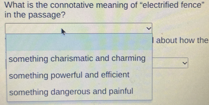 What is the connotative meaning of “electrified fence”
in the passage?
I about how the
something charismatic and charming
something powerful and efficient
something dangerous and painful