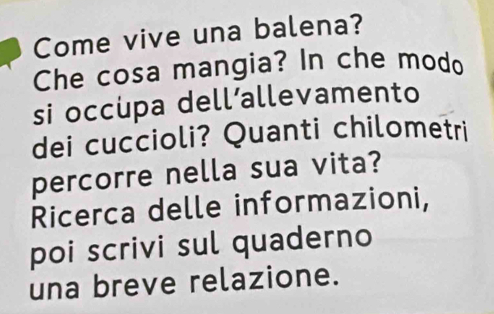 Come vive una balena? 
Che cosa mangia? In che modo 
si occupa dell’allevamento 
dei cuccioli? Quanti chilometri 
percorre nella sua vita? 
Ricerca delle informazioni, 
poi scrivi sul quaderno 
una breve relazione.